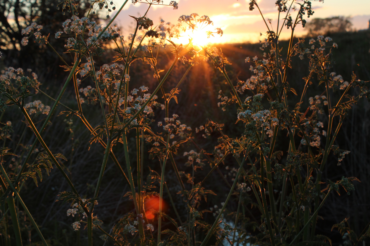 Sunset In Stokesley
